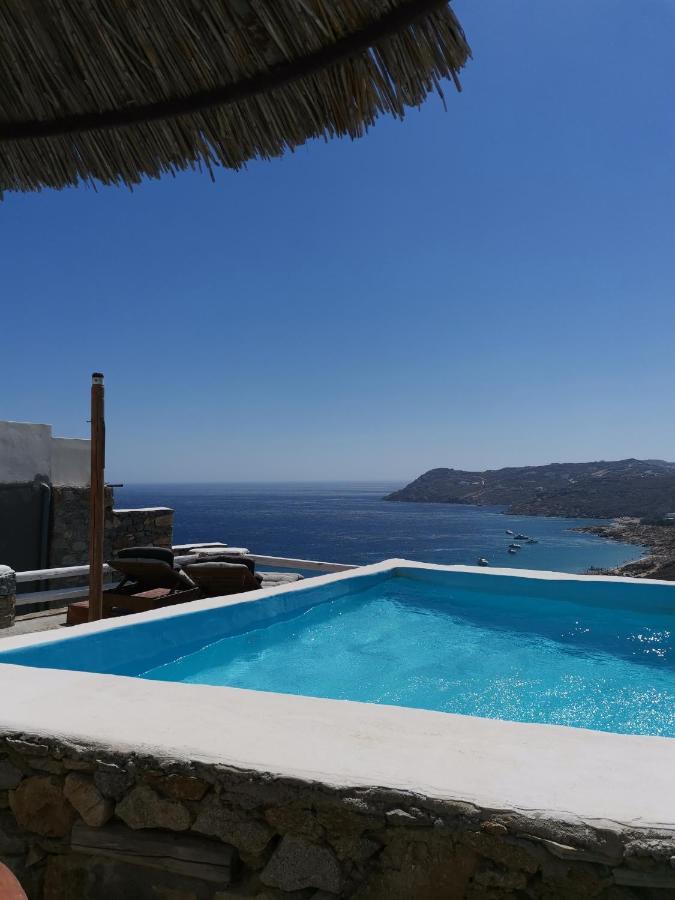 Villa Viktoria In Elia Beach, Mykonos Mykonos Town 외부 사진